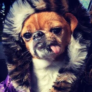 Meet your Posher, Morgan